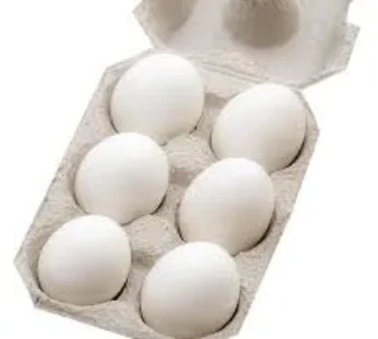 EGGS REGULAR