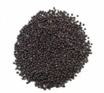ANIKET KALA SARSO (100 GM)