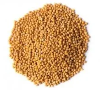 ANIKET PILA SARSO (100 GM)