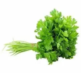 CORIANDER LEAVES LOOSE