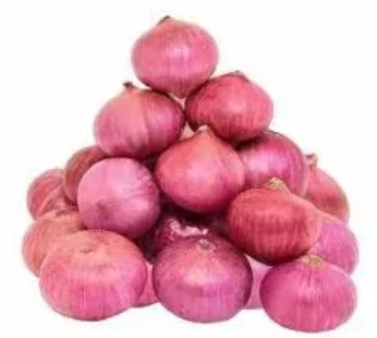 ONION LOOSE