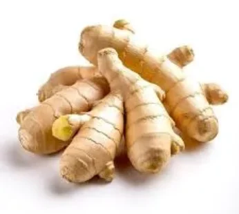 GINGER