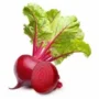 FRUITS & VEGETABLE